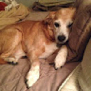 Meet your Posher, Joan